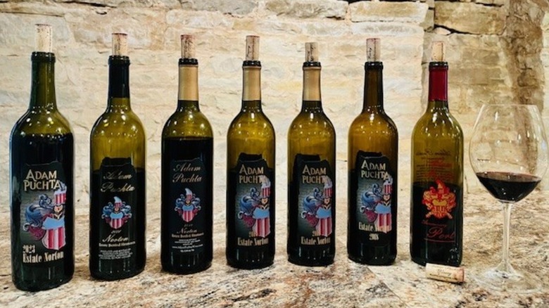 Seven Adam Puchta Winery red wine bottles and a 2 ounce pour of red wine in a stemmed wine glass lined up next to each other
