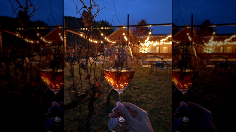 A hand holding a glass of wine at dusk with a lit up patio and grape vines in the background