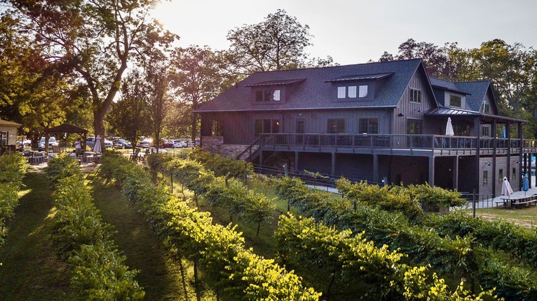 Vineyard rows in front of a modern farmhouse winery as the sun is setting