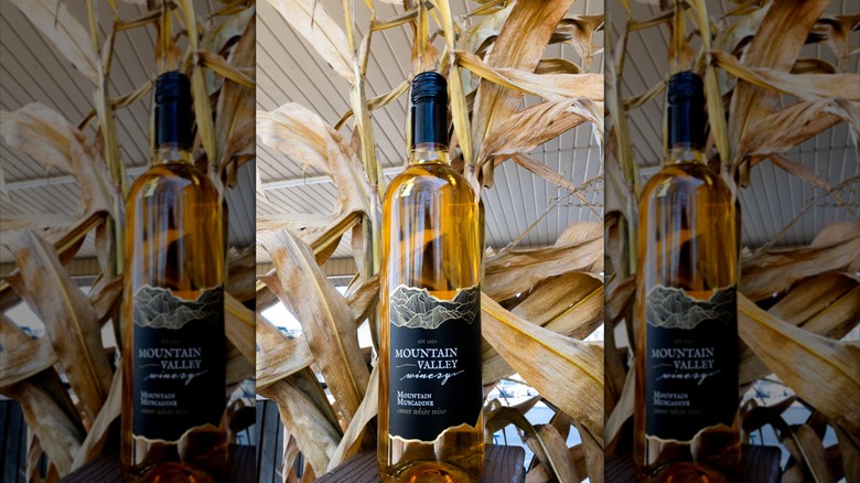 A bottle of Mountain Valley Winery sweet white wine in front of a dried corn stalk