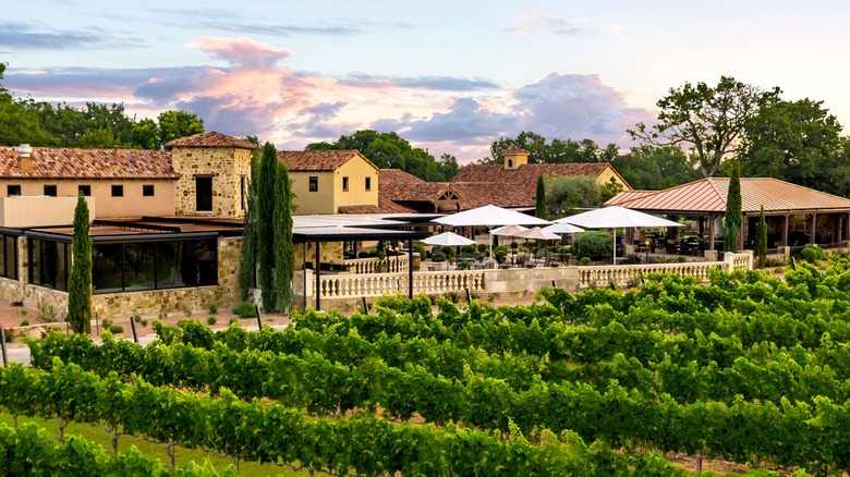 Tuscan-style winery in front of vineyard rows