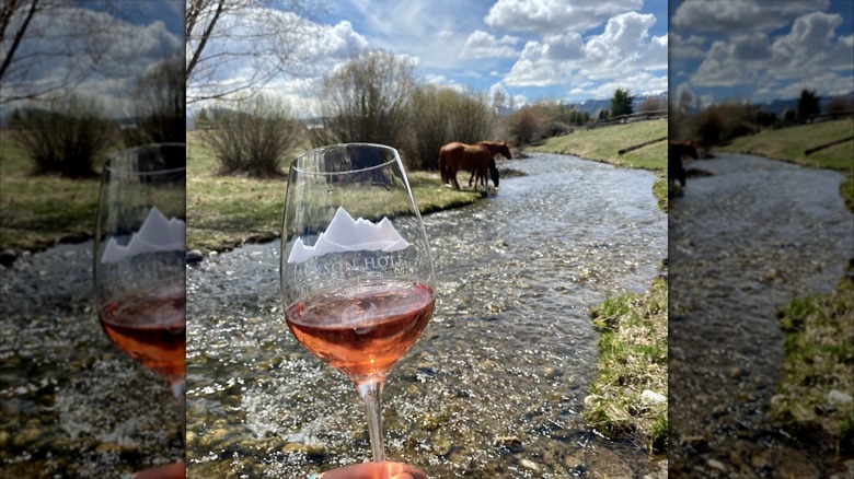 A glass of rose being held up in front of a babbling creek with wild horses drinking in the background