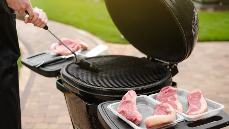 Grill Brush w/ Scraper, The best grill brush