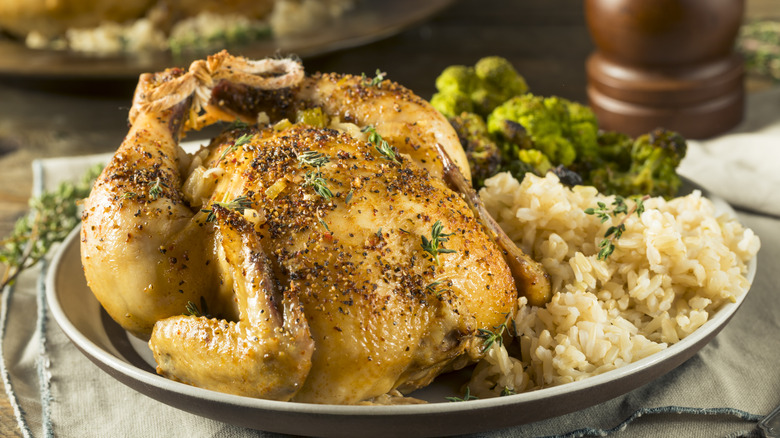 Plate with Cornish game hen, rice, broccoli