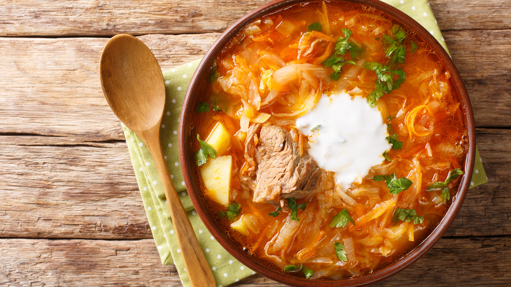 Traditional Russian cabbage soup in a bowl