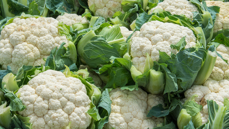 group of cauliflowers with green leaves