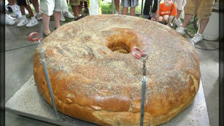 Biggest bagel in the world