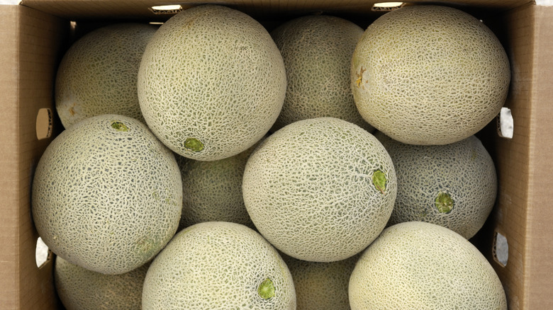 Overhead view of cantaloupe in cardboard box
