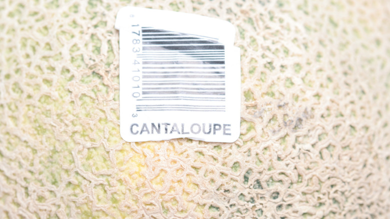 Closeup of cantaloupe barcode on melon rind