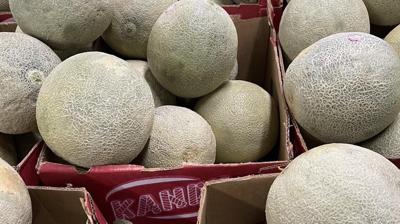 Red boxes filled with Kandy cantaloupe