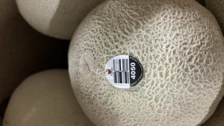 Closeup of Malichita sticker on cantaloupe
