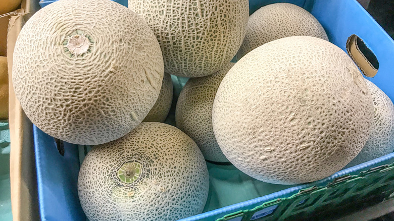 Cantaloupe in a blue cardboard carton
