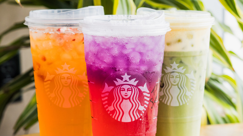 Three colorful Starbucks iced beverages in plastic takeout cups are positioned in front of a leafy plant.