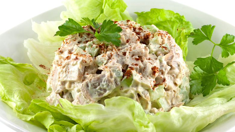 Round chicken salad on lettuce on a plate