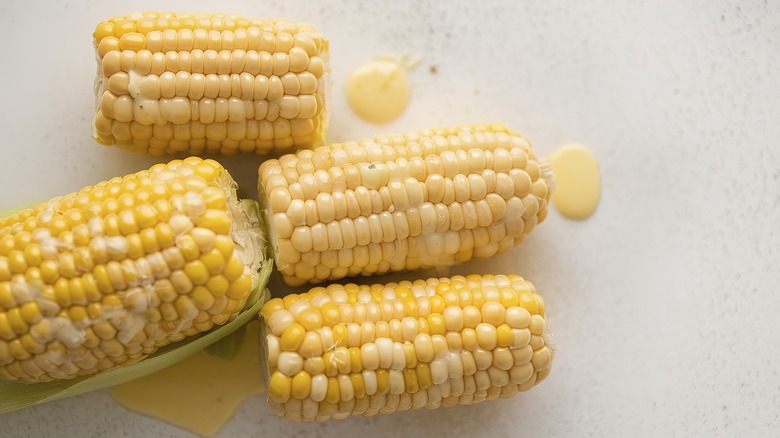 corn on the cob