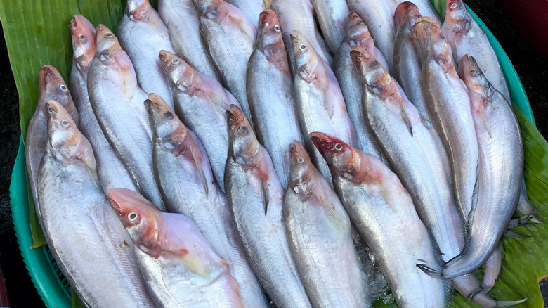 Sheatfish laid out on banana leaves