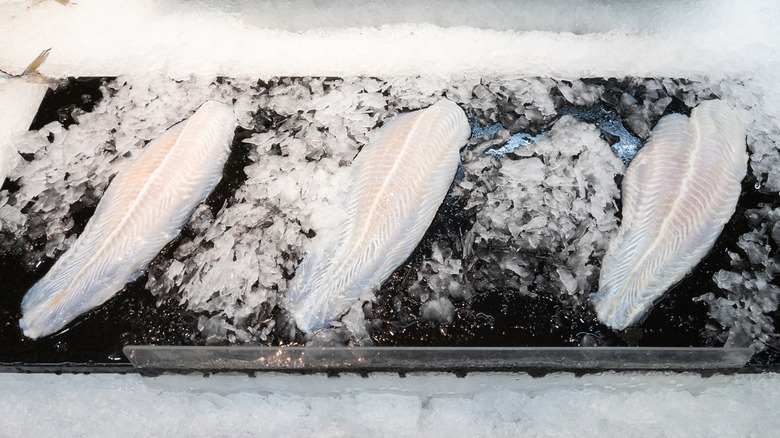 Frozen white fish fillets on black trays with ice