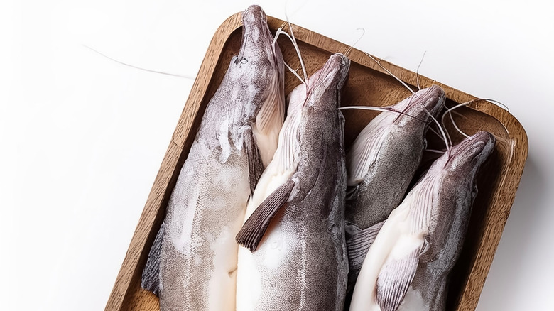 Fresh catfish on a rectangular wooden plate against a white background