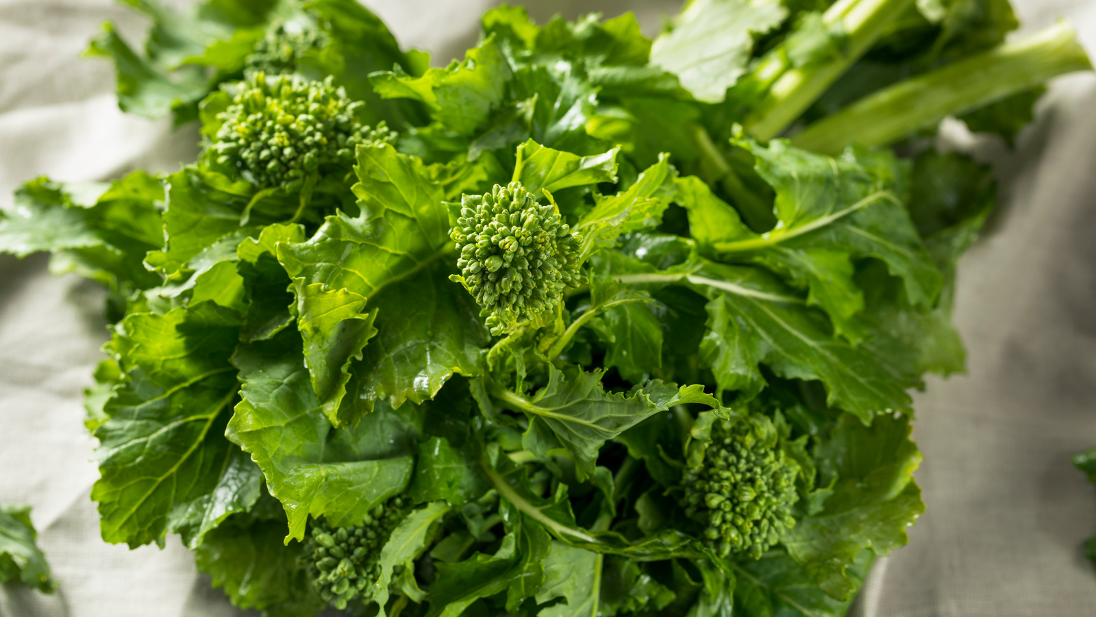 The Biggest Mistake You're Making With Broccoli Rabe