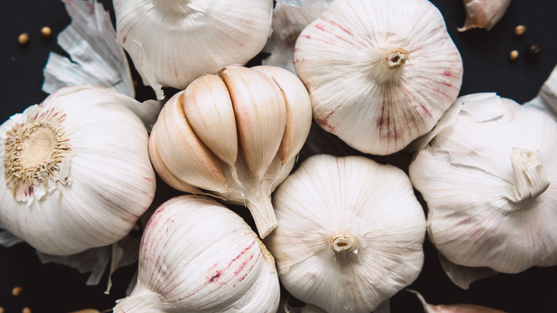 garlic