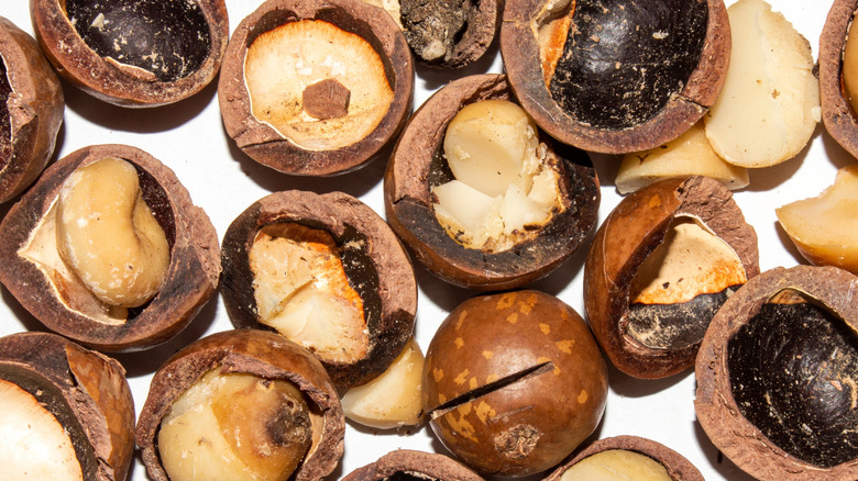 Open macadamia nuts
