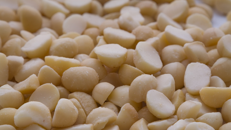 Halved roasted macadamia nuts