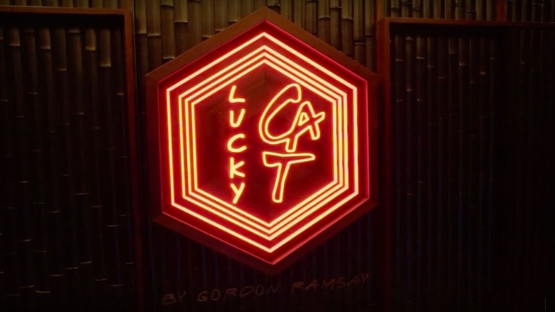 Gordon Ramsay Lucky Cat