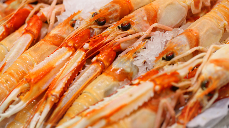 langoustines