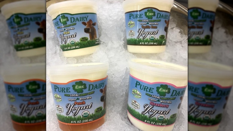 Pure Éire Dairy yogurts on ice chips