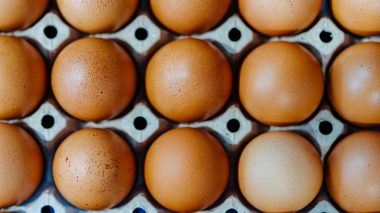 Eggs in paper carton