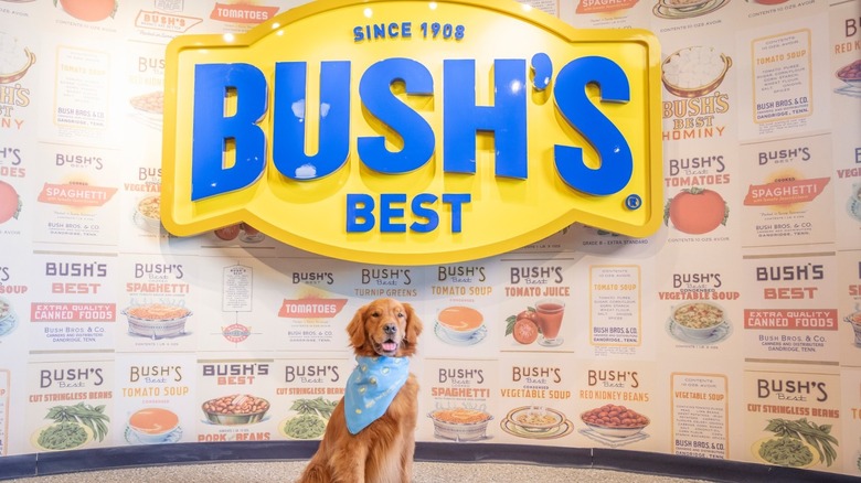 Duke the dog in front of Bush's sign