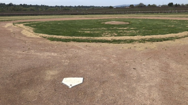 Balletto Vineyard's baseball diamond