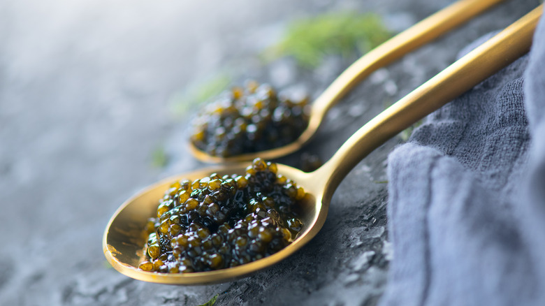 caviar on gold spoons