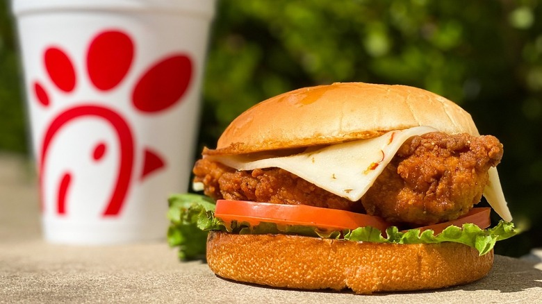 A chicken sandwich from Chick-fil-A