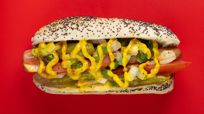 Chicago hot dog