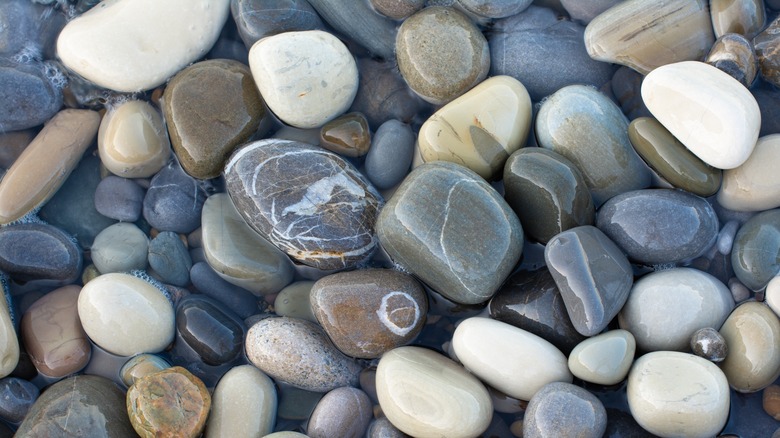Wet river stones
