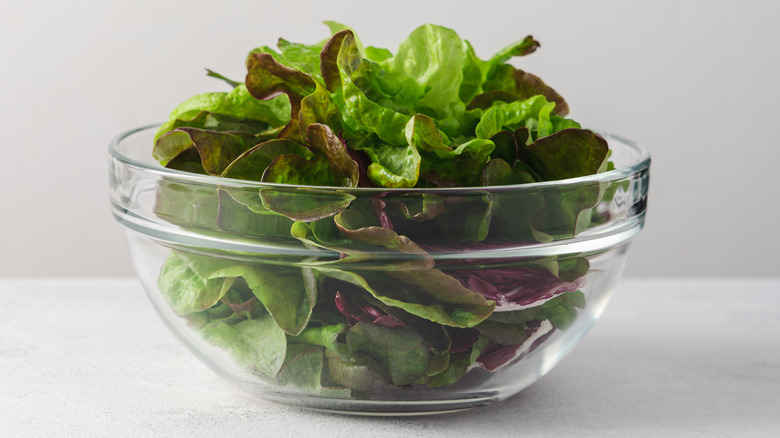 Bowl of lettuce