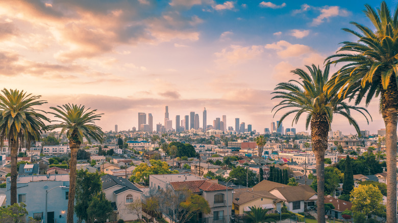 downtown LA with palm trees