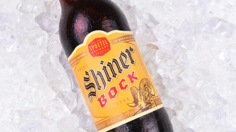 Bottle of Shiner Bock beer on ice.