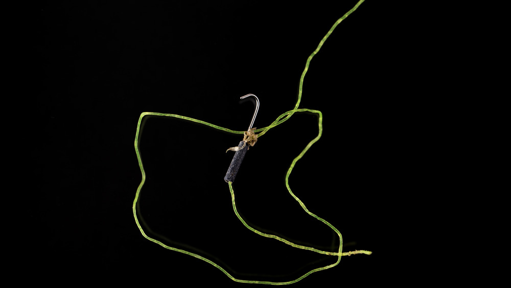 Microplastic from Mothecombe beach