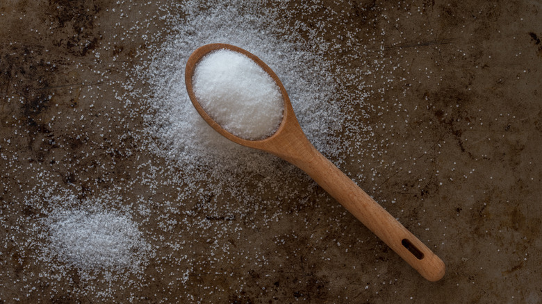 iodized salt in wooden spoon