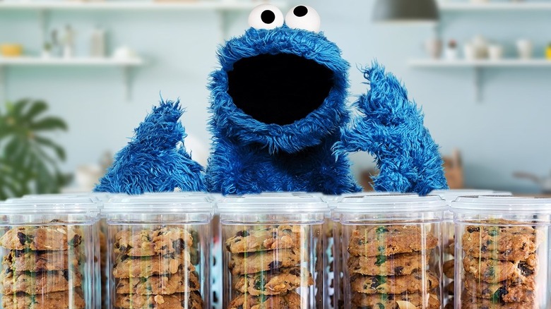 cookie-monsters-cookies-were-rice-cakes-
