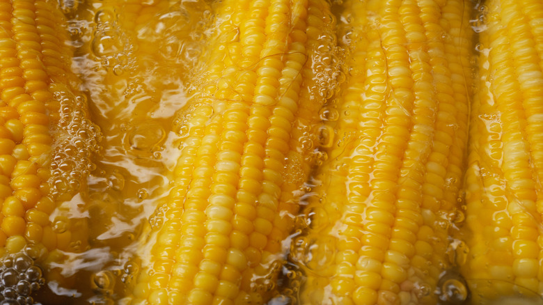 Corn in boiling water