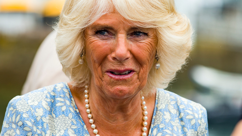 Camilla Parker Bowles