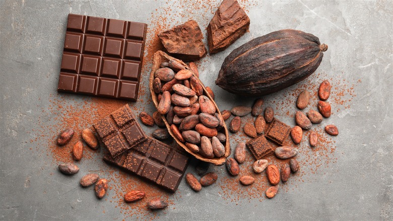 Raw cocoa beans in a creative display with half-open cocoa pods, cocoa powder, and chocolate bars.