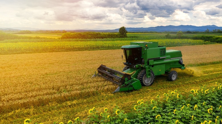 tractor on a farm harvesting a crop