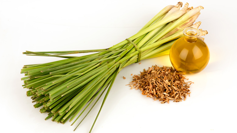 Fresh and dried lemongrass with oil