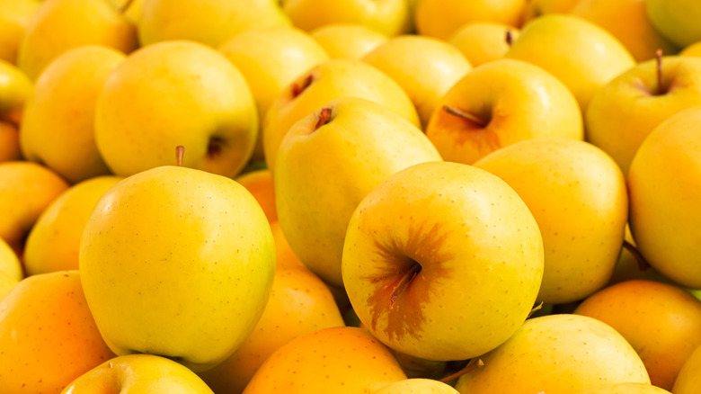 Pile of Golden Delicious apples