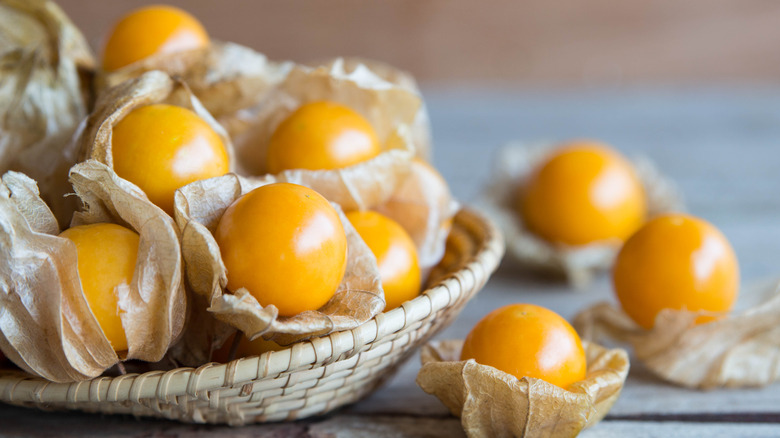 Ground cherries in their husks