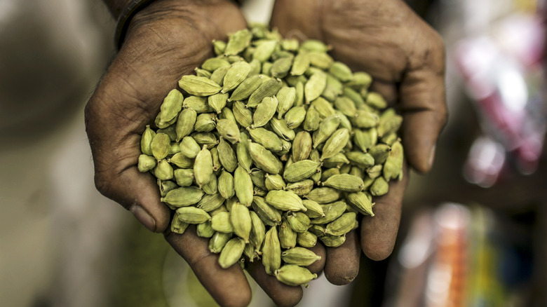 Green cardamom pods